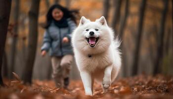 uma fofa samoiedo cachorro jogando ao ar livre traz felicidade e alegria gerado de ai foto