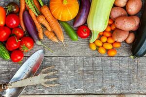 variedade diferentes vegetais orgânicos frescos e ferramentas de jardinagem em fundo de madeira estilo country. comida saudável vegan vegetariano comendo o conceito de dieta. horta local produzem alimentos limpos. foto