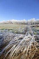 bela paisagem de inverno com neve de conto de fadas na boêmia central, república checa foto