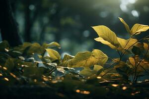 fechar acima do lindo outono folhas com água gotas. natural fundo ai gerado foto