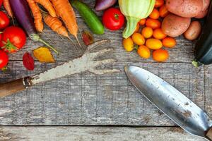 variedade diferentes vegetais orgânicos frescos e ferramentas de jardinagem em fundo de madeira estilo country. comida saudável vegan vegetariano comendo o conceito de dieta. horta local produzem alimentos limpos. foto