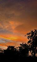 Visão do a lindo laranja céu e silhuetas do árvores foto