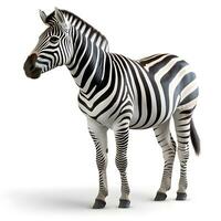 zebra em pé isolado em branco. ai generativo foto