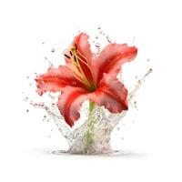 lindo Rosa orquídea com espirrando água. ai generativo foto