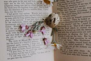 fechar-se do uma pequeno Primavera margarida flor e camomila Codorna ovo em a fundo do a velho livro foto