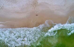 aéreo Visão do a surfar às perdido chave de praia foto