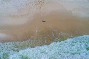 aéreo Visão do a surfar às perdido chave de praia foto