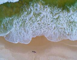 aéreo Visão do a surfar às perdido chave de praia foto