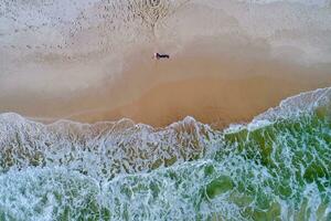 aéreo Visão do a surfar às perdido chave de praia foto