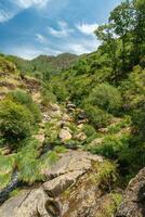 lindo verde vale às albergaria da serra, Portugal. foto