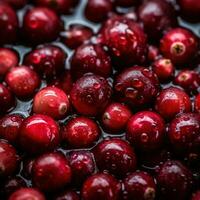 realista foto do uma grupo do cranberries. topo Visão fruta cenário. ai gerado