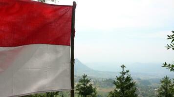 a indonésio bandeira vibra em a montanha foto