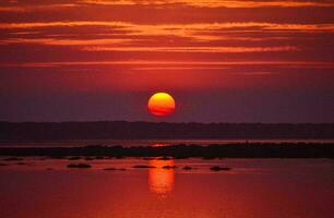 tropical mar pôr do sol árvore céu Visão fundo foto