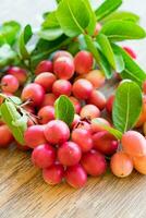 carunda, karonda, carissa carandas, apocináceas, fruta vermelho semente nutritivo foto