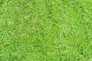foto de vista superior, fundo de textura de grama verde