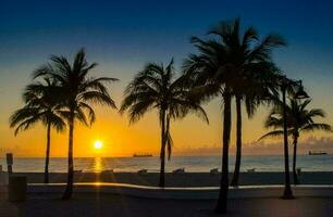 tropical mar pôr do sol árvore céu Visão fundo foto