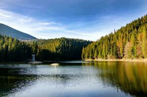 muito lindo panorama do a lago. verde abeto árvores contra a pano de fundo do uma lindo lago. foto