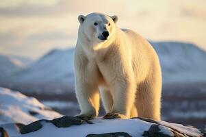 polar Urso dentro Está natural habitat dentro a ártico círculo. ai gerado foto