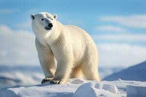 polar Urso dentro Está natural habitat dentro a ártico círculo. ai gerado foto