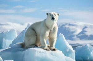 polar Urso em iceberg dentro Está natural habitat dentro a ártico círculo. ai gerado foto
