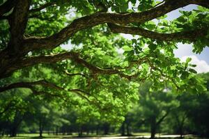 verde folhas árvore ramo dentro floresta ai generativo foto