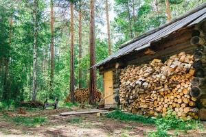 uma solitário velho caçadores casa e uma pilha do lenha perto dentro uma floresta clareira dentro uma siberian floresta foto