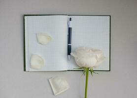 em branco caderno com Lugar, colocar para texto e rosa flores em cinzento fundo. Visão a partir de acima foto