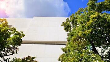 moderno branco concreto construção paredes contra azul céu. eco arquitetura. verde árvores e concreto escritório prédio. a harmonia do natureza e modernidade. foto