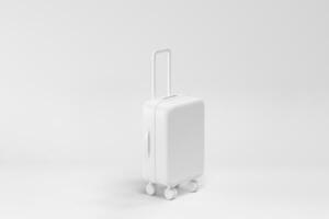 bagagem com branco fundo, 3d Renderização. foto