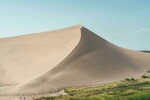 verde palhetas por aí a deserto. foto