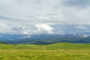 pastagem e montanhas dentro uma nublado dia. foto dentro kalajun pastagem dentro xinjiang, China.