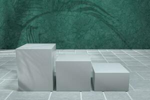 cubo plataforma com plantar sombras em a verde parede, 3d Renderização. foto