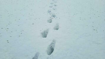 pegadas em branco neve dentro inverno, caminhando em uma neve campo. foto