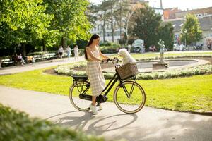 jovem mulher com cachorro branco bichon frise na cesta de bicicleta elétrica foto