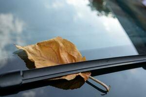 outono folha em a parabrisa do uma carro com reflexão dentro a água foto
