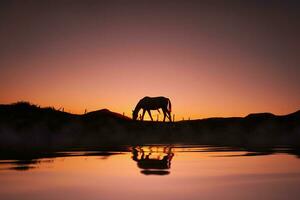 cavalo silhueta refletido dentro a água e lindo pôr do sol fundo foto