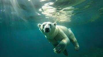 uma polar Urso natação embaixo da agua dentro a ártico oceano. generativo ai foto