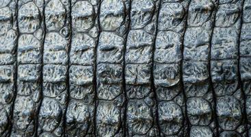 imagem aproximada de fundo de textura de pele de crocodilo foto