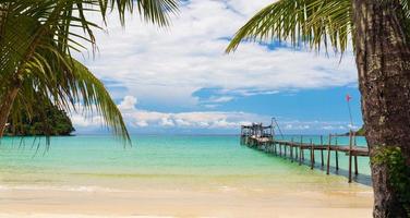 linda praia tropical e mar com coqueiro sob céu azul foto