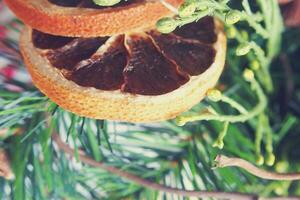 macro cor natural decoração em Natal com laranja, árvore, foto