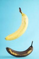 bananas frescas e podres sobre fundo azul. foto real de uma banana fresca levitando fundo azul ob.