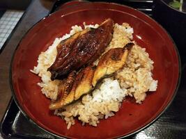 fechar acima Visão do delicioso ásia Comida com alguns grelhado enguia Como cobertura foto