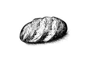 pão do pão. vetor mão desenhado vintage gravação estilo vetor ilustração. foto