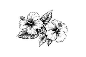 hibisco flores dentro uma vintage xilogravura gravado gravura estilo. vetor ilustração. foto