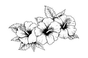 hibisco flores dentro uma vintage xilogravura gravado gravura estilo. vetor ilustração. foto