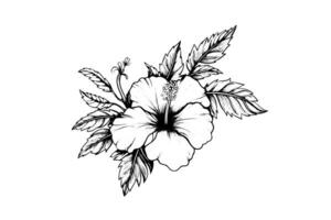 hibisco flores dentro uma vintage xilogravura gravado gravura estilo. vetor ilustração. foto