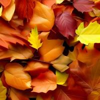 outono laranja, folhas outono abstrato fundo, folha aleatória elemento ao ar livre foto