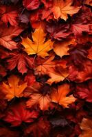 outono pano de fundo apresentando vermelho e laranja folhas foto
