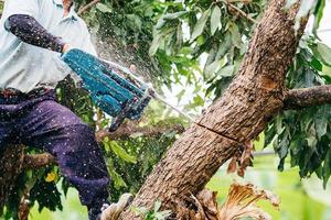 o lenhador usa sua motosserra para cortar a árvore. desmatamento e seu efeito extremo no aquecimento global foto