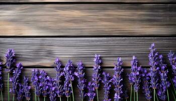 grupo do lavanda flores em de madeira fundo. topo visualizar. foto